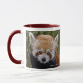 Red Panda Tasse (Links)