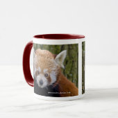 Red Panda Tasse (Vorderseite Links)