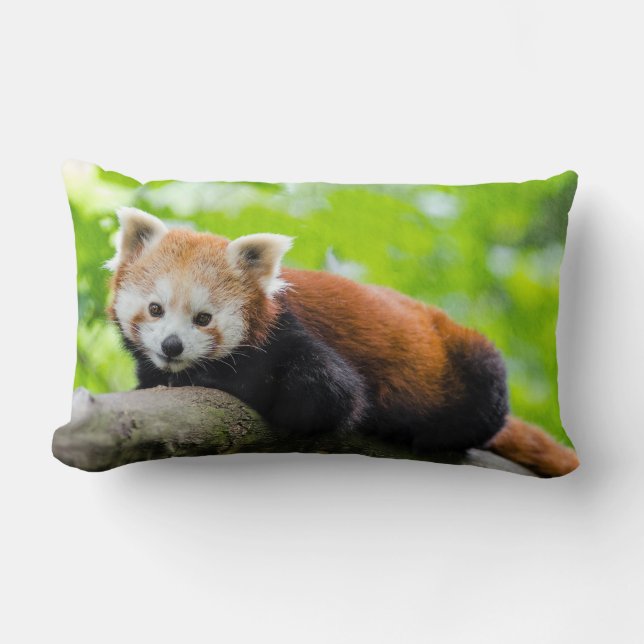 Red Panda Throw Kissen (Vorderseite)