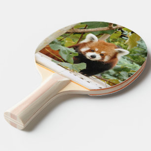 Red Panda Tischtennis Schläger