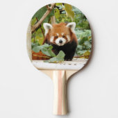 Red Panda Tischtennis Schläger (Vorderseite)