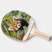 Red Panda Tischtennis Schläger (Seitenansicht)