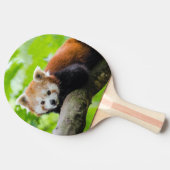 Red Panda Tischtennis Schläger (Seitenansicht)