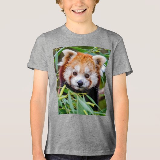 Red Panda Tri-Blend Shirt (Vorderseite)