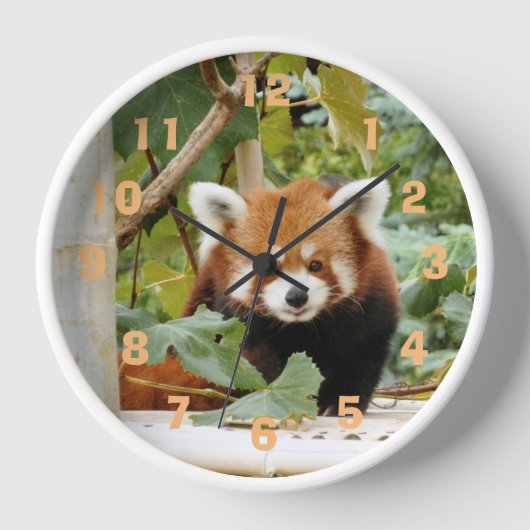 Red Panda Uhr (Vorderseite)