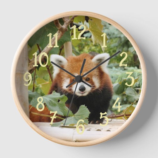 Red Panda Uhr (Vorderseite)