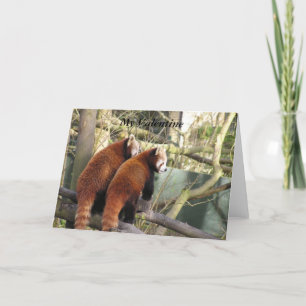 Red Panda Valentin Card Feiertagskarte