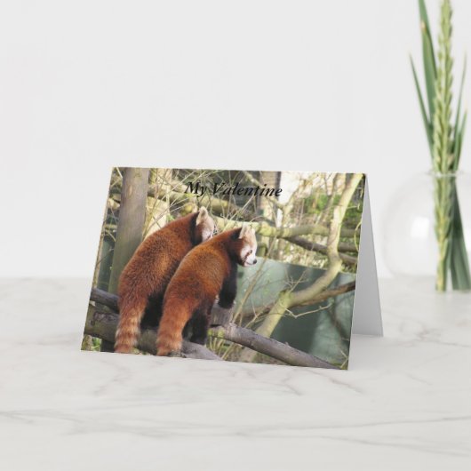 Red Panda Valentin Card Feiertagskarte (Vorderseite)