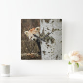 Red Panda Wall Clock Quadratische Wanduhr (Zuhause)