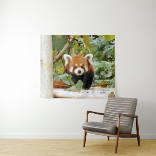 Red Panda Wandteppich