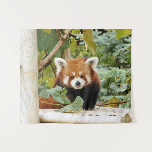 Red Panda Wandteppich (Vorderseite (Horizontal))
