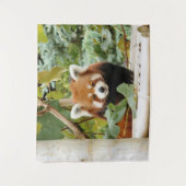 Red Panda Wandteppich (Vorderseite)