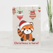 Red Panda Weihnachtsschnee Wintertiere Pandas Car Karte (Vorderseite)