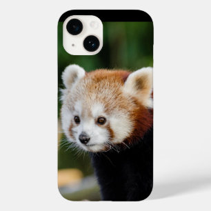 Red Panda Wild Animal Case-Mate iPhone 14 Hülle