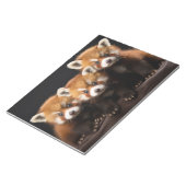 Red Panda Wild Animal Portrait Nature Beauty Notizblock (angewinkelt)