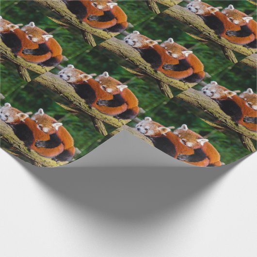 Red Pandas Geschenkpapier (Ecke)