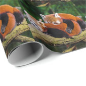 Red Pandas Geschenkpapier (Rolleneckpunkt)