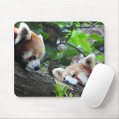 Red Pandas Mousepad (Mit Mouse)