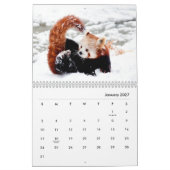 Red Pandas Wall Calendar Kalender (Jan 2027)