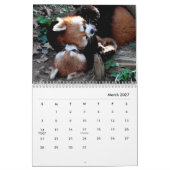 Red Pandas Wall Calendar Kalender (Mär 2027)