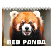 Red Pandas Wall Calendar Kalender (Titelbild)