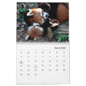 Red Pandas Wall Calendar Kalender (Mär 2026)