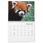 Red Pandas Wall Calendar Kalender (Feb 2026)