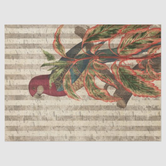 Red Parrot auf Tan Stripes Decoupage Seidenpapier (Vorderseite)