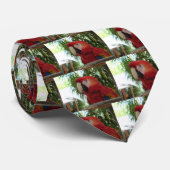 Red Parrot Beauty Krawatte (Gerollt)