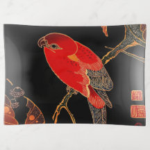 Red Parrot Fine Art