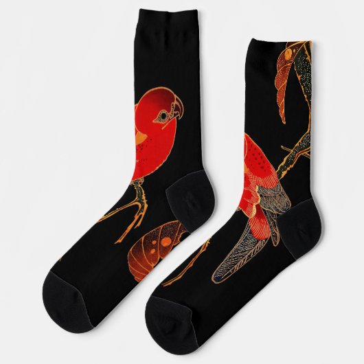 Red Parrot Fine Art Socken (Linkes Detail)