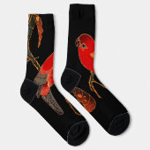 Red Parrot Fine Art Socken (Rechts)