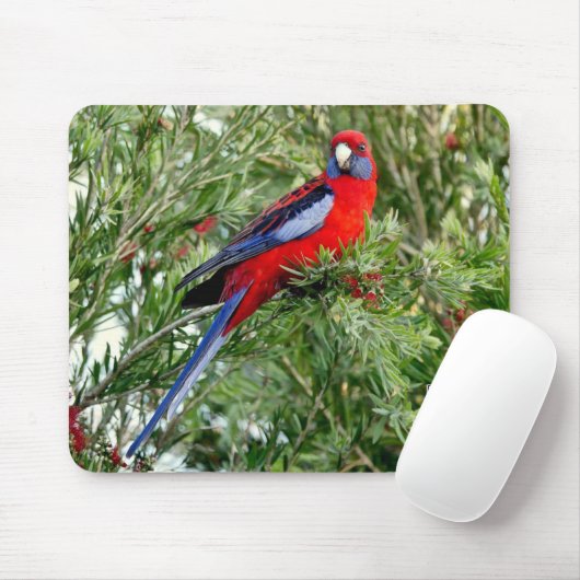 Red Parrot Mousepad (Mit Mouse)