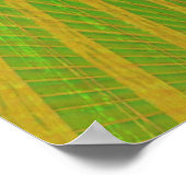 Red Parrot Poster (Ecke)