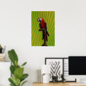 Red Parrot Poster (Heimbüro)