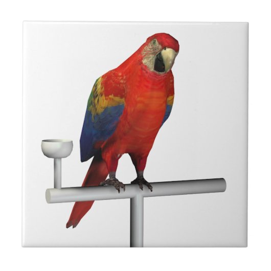 Red Parrot Scarlet Macaw Fliese (Vorderseite)