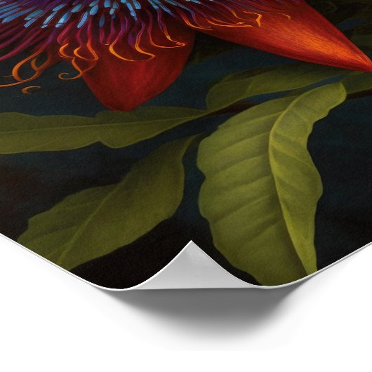 Red Passion Blume Art Print Poster (Ecke)