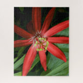 Red Passion Blume in Vollblut Puzzle (Vertikal)