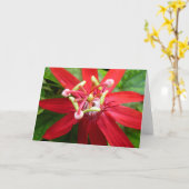 Red Passion Blume Karte (Gelbe Blume)
