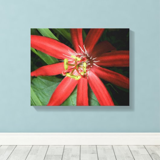 Red Passion Blume Leinwanddruck (Insitu (Holzboden))