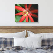 Red Passion Blume Leinwanddruck (Insitu (Schlafzimmer))