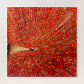 Red Peacock, der seine roten Federn zeigt, Puzzle (Horizontal)