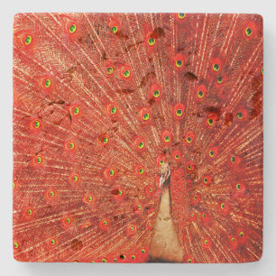 Red Peacock, der seine roten Federn zeigt, Steinuntersetzer