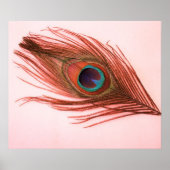 Red Peacock Feather Poster (Vorne)