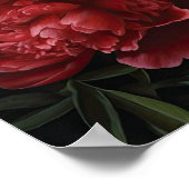 Red Peongs Blume Art Print Poster (Ecke)