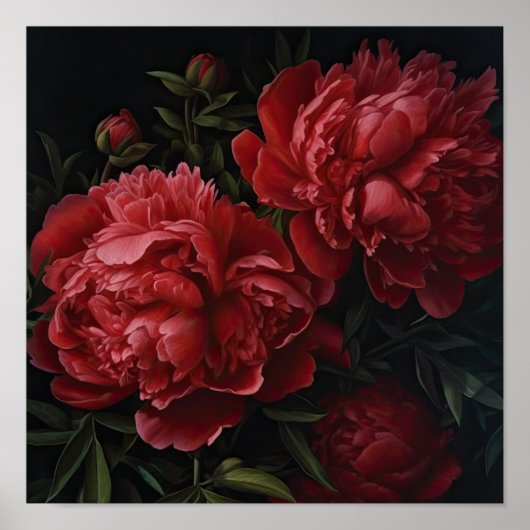 Red Peongs Blume Art Print Poster (Vorne)