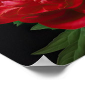 Red Peongs Blume Art Print Poster (Ecke)