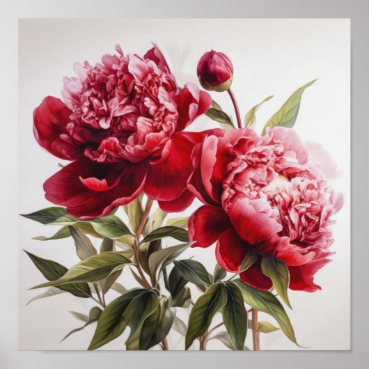 Red Peongs Blume Art Print Poster (Vorne)
