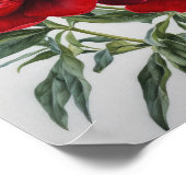 Red Peongs Blume Art Print Poster (Ecke)