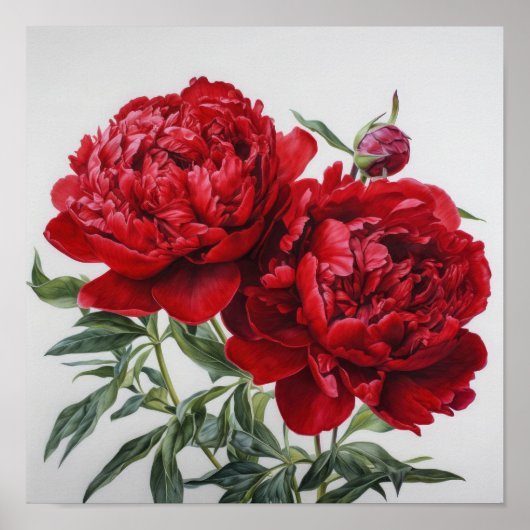 Red Peongs Blume Art Print Poster (Vorne)